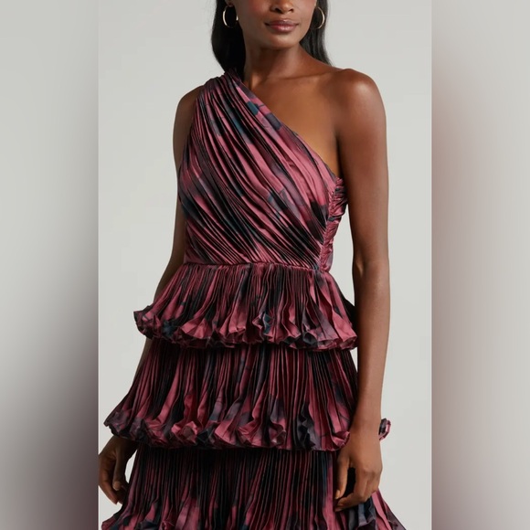 Hutch Enza Tiered One-Shoulder Gown - Picture 6 of 8